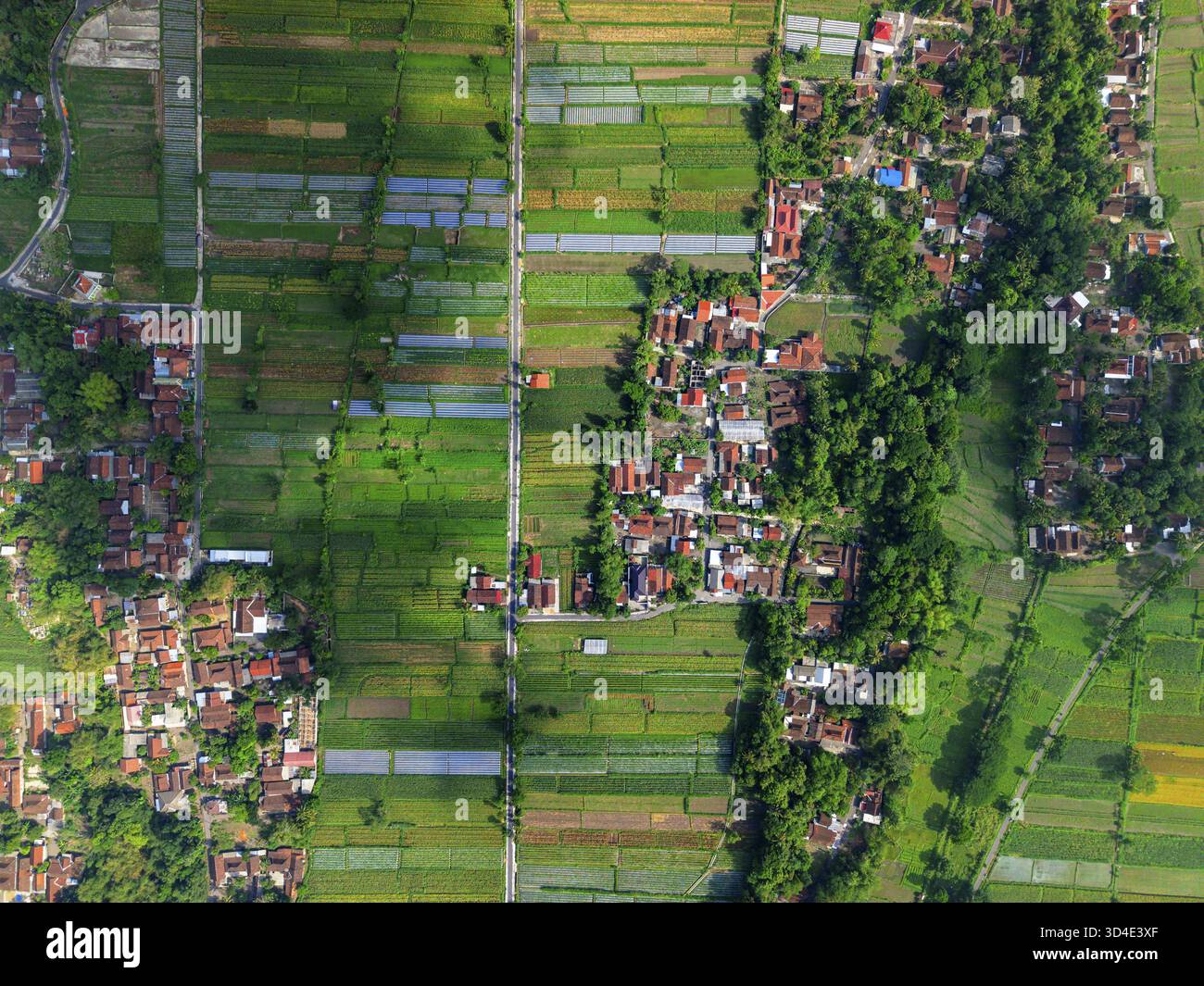 Vista aerea di vivaci risaie verdi e villaggi, un mosaico di vita e agricoltura in contrasto con le ombre, la Reggenza di Klaten, Giava centrale Foto Stock
