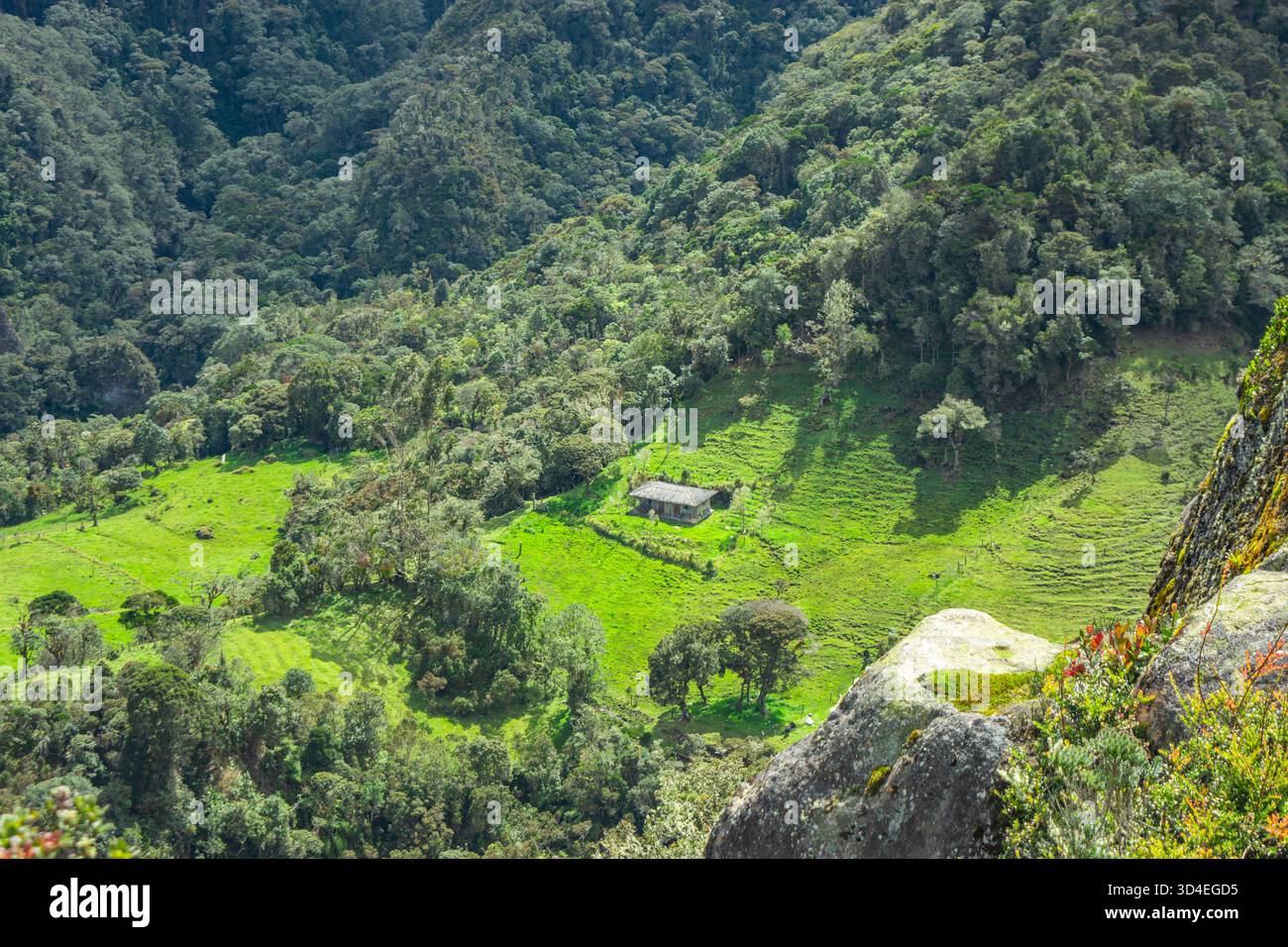 Vista mozzafiato delle lussureggianti vallate verdi e delle montagne boscose di Purace, Cauca, Colombia, che mostrano tranquillità rurale e bellezza naturale. Foto Stock