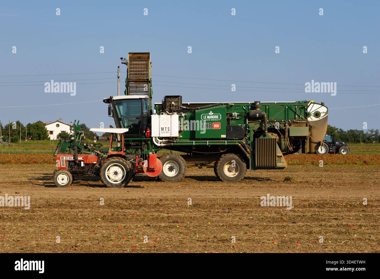 Il veicolo agricolo specializzato raccoglie efficacemente i pomodori freschi sotto un cielo luminoso. Foto Stock