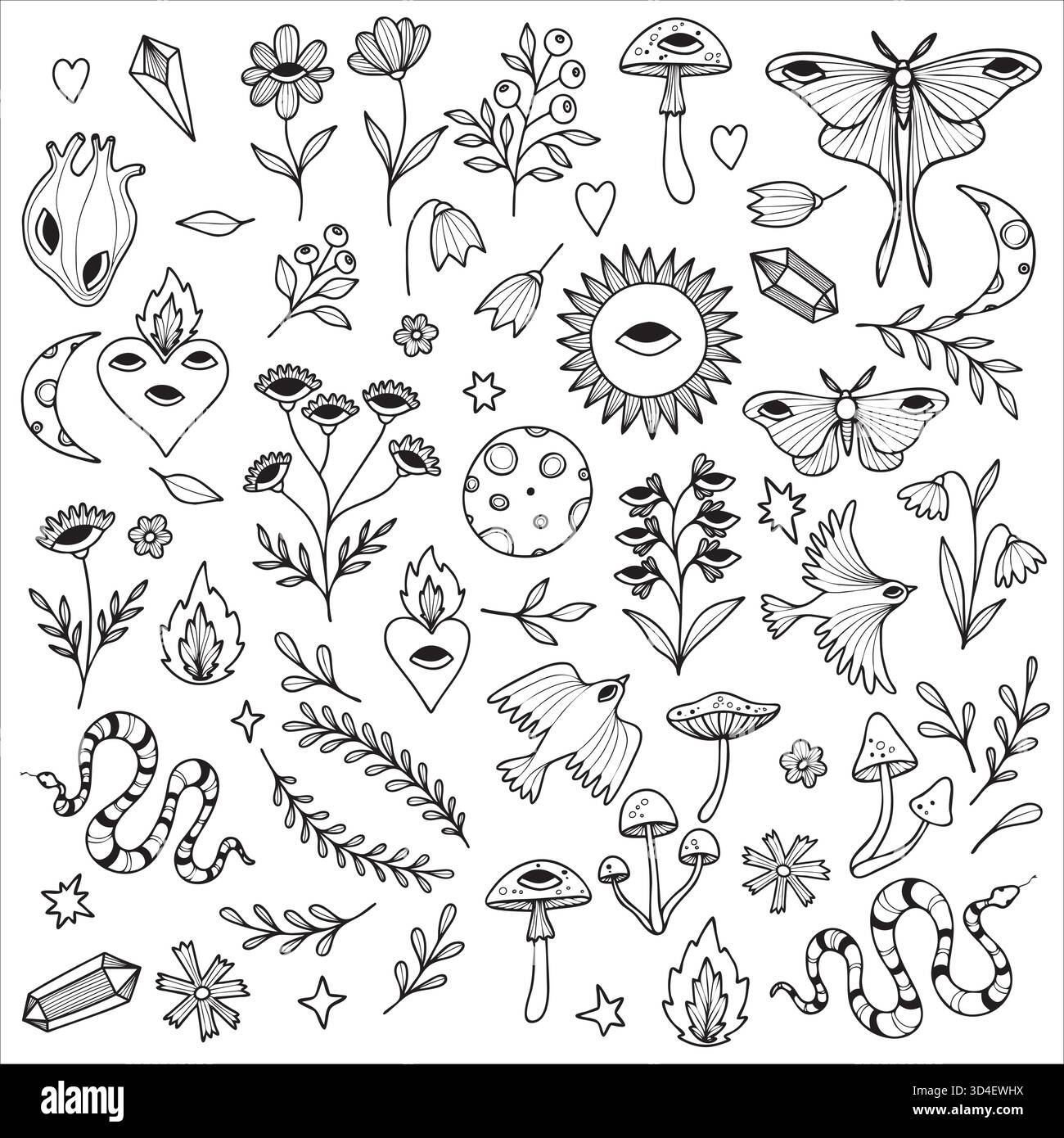 Set di foresta magica vettoriale non IA. Collezione di illustrazioni su un mistico tema boschivo isolato sul bianco. Illustrazione Vettoriale