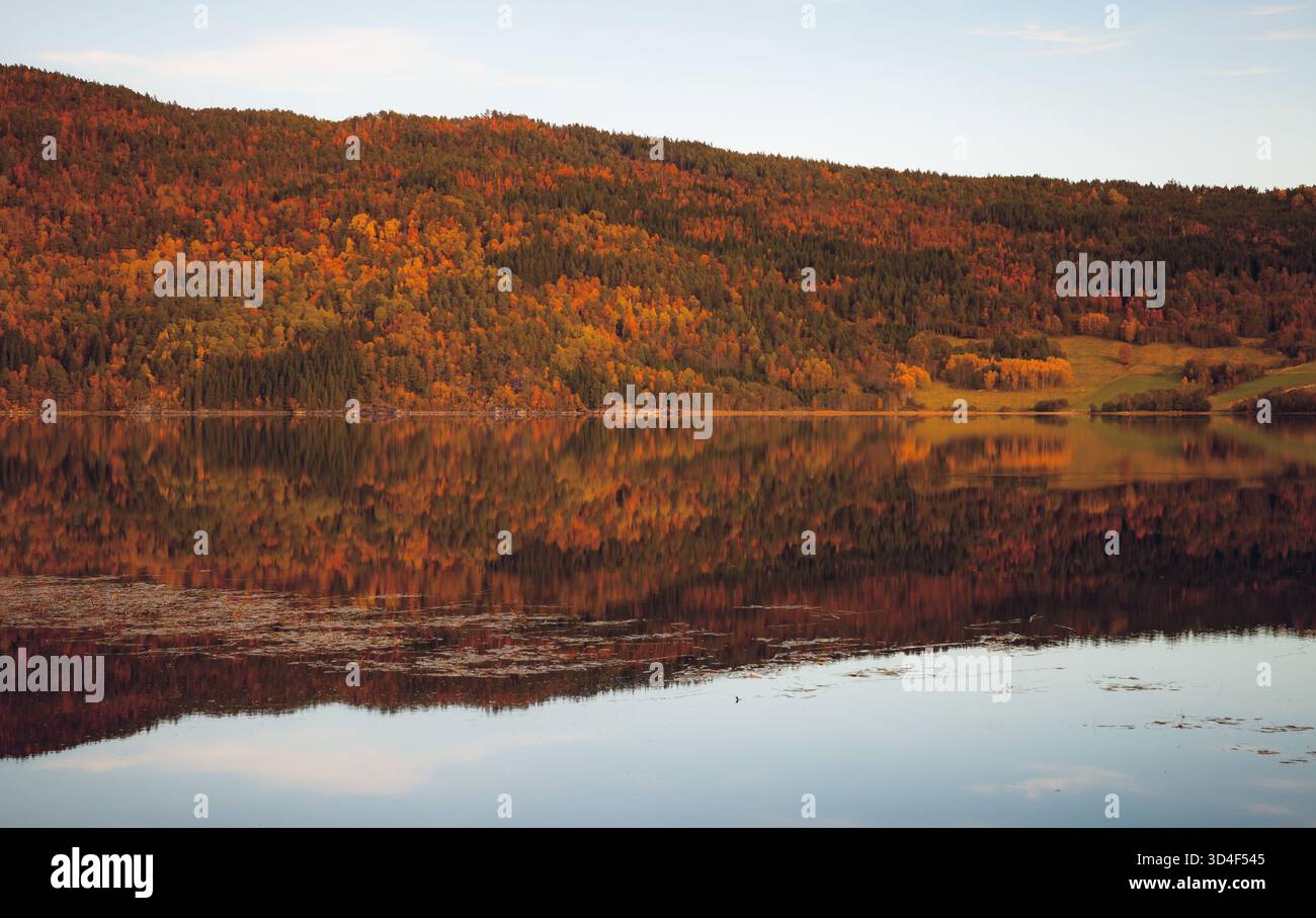 Un tranquillo scenario autunnale caratterizzato da un lago tranquillo e da colline colorate con montagne. Le vivaci foglie autunnali, il cielo limpido e l'acqua tranquilla creano Foto Stock
