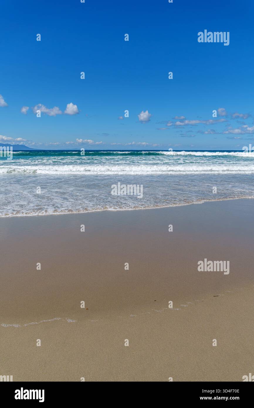 La splendida spiaggia sabbiosa di Omaha, nuova Zelanda Foto Stock