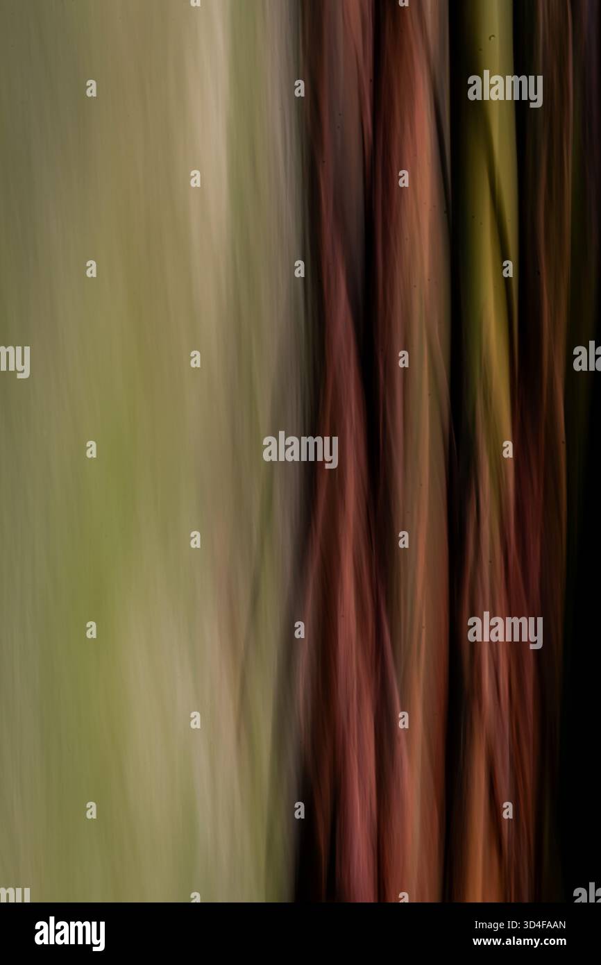 selezione della pelle esterna di colore arcobaleno dell'arcobaleno. il vento e le intemperie eliminano rapidamente la vecchia pelle e la sostituiscono con una nuova pelle colorata Foto Stock