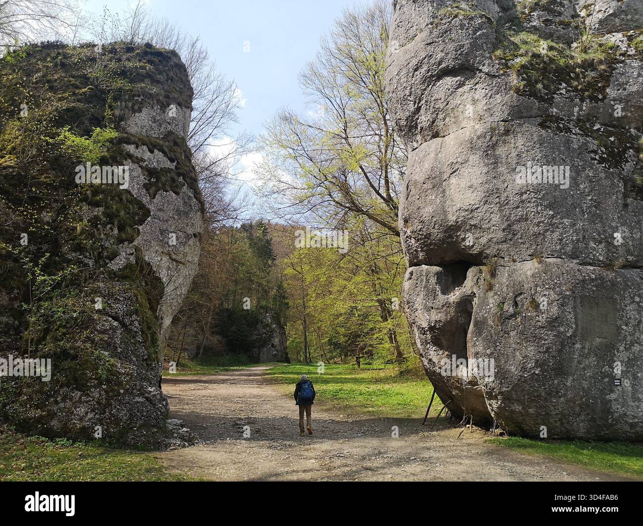 Porta di Kraków nel Parco Narodowy di Ojcowski: Un suggestivo corridoio carsico vicino al villaggio di Ojców, incorniciato da torreggianti colonne calcaree e da una leggenda. Foto Stock