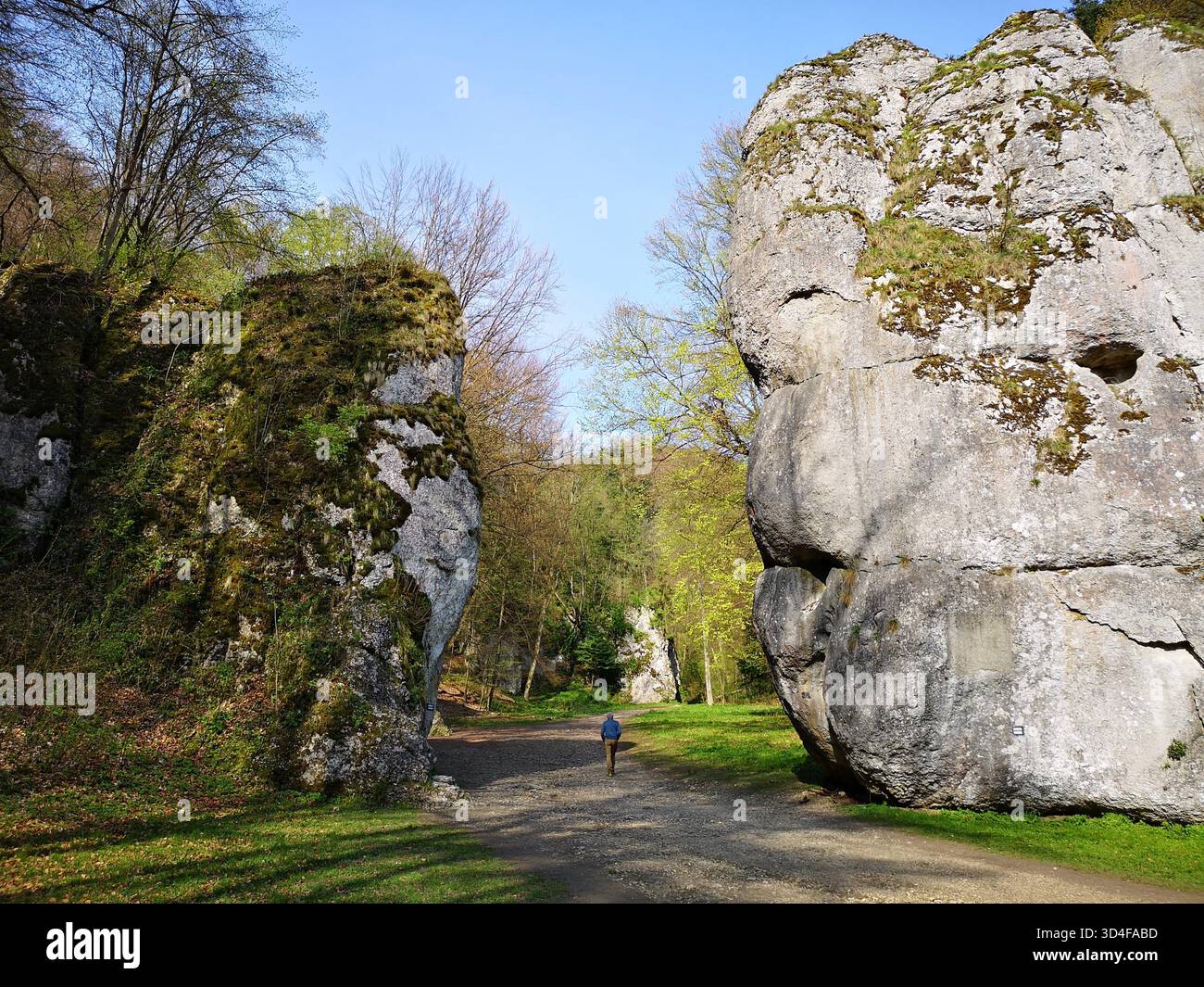 Porta di Kraków nel Parco Narodowy di Ojcowski: Un suggestivo corridoio carsico vicino al villaggio di Ojców, incorniciato da torreggianti colonne calcaree e da una leggenda. Foto Stock