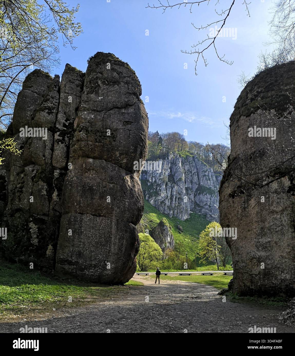 Porta di Kraków nel Parco Narodowy di Ojcowski: Un suggestivo corridoio carsico vicino al villaggio di Ojców, incorniciato da torreggianti colonne calcaree e da una leggenda. Foto Stock