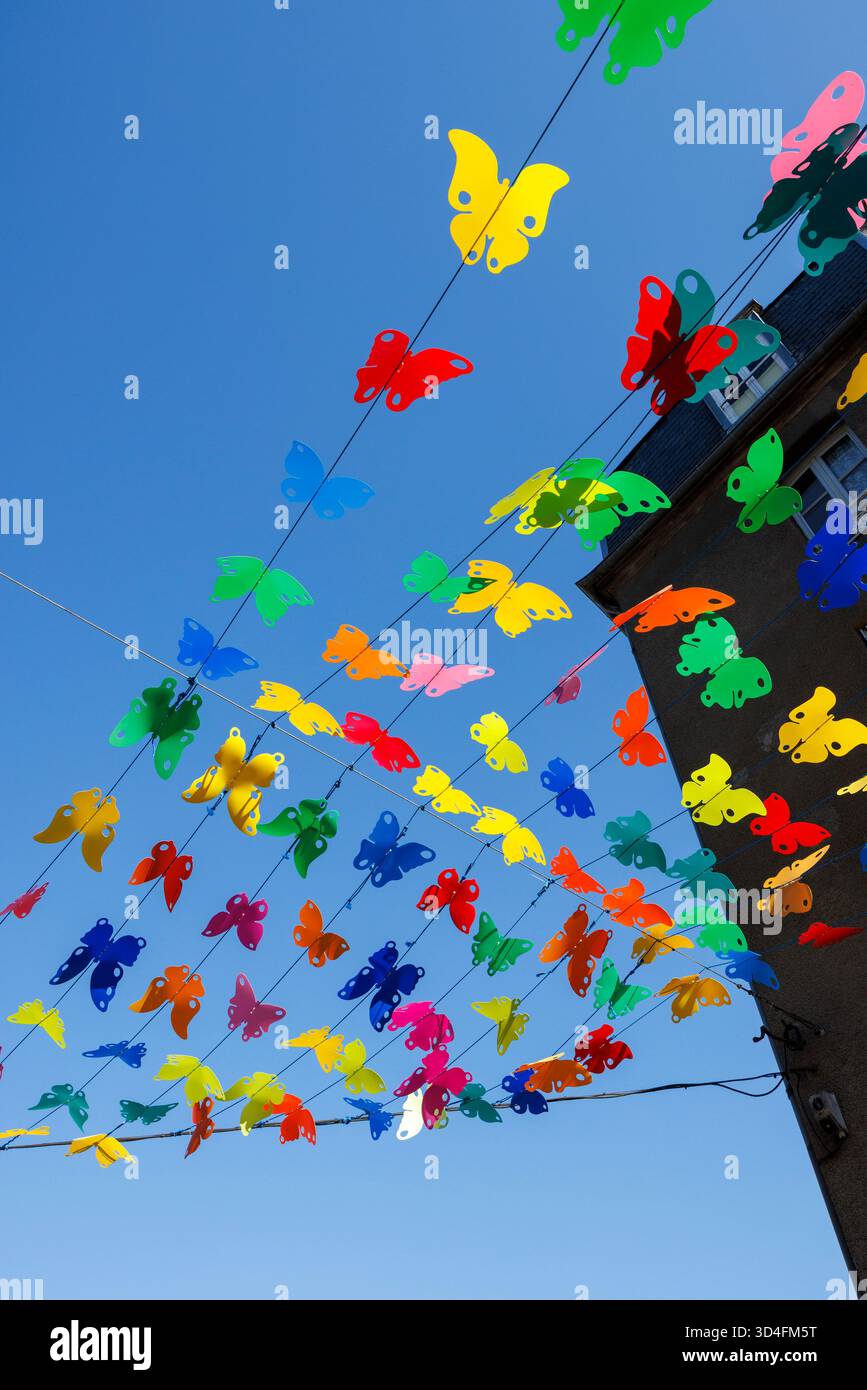 Branco di farfalle in strada, Fougeres, Francia Foto Stock