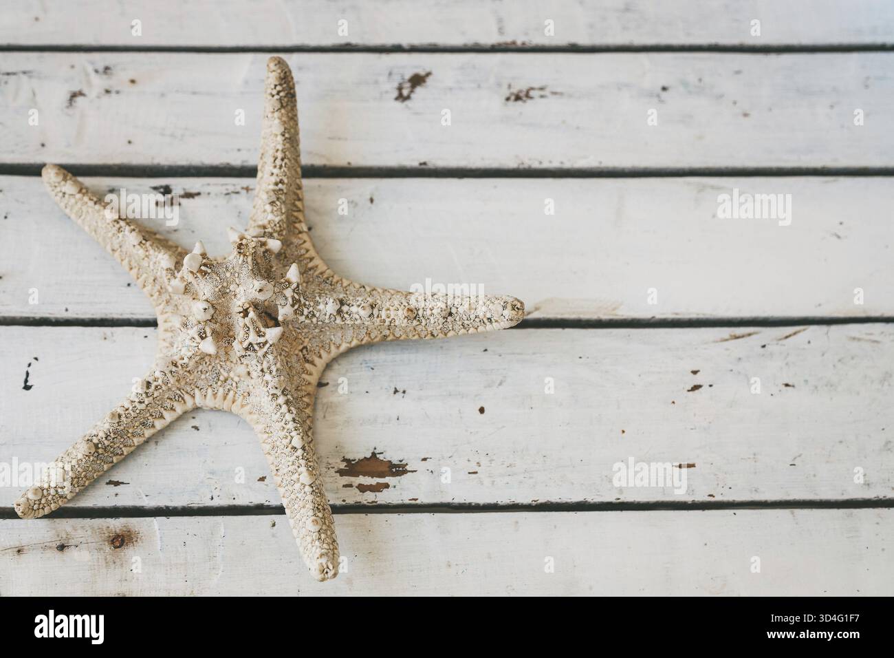 Vista dall'alto di una stella marina che poggia su una superficie di legno intemprata, con spazio copia Foto Stock