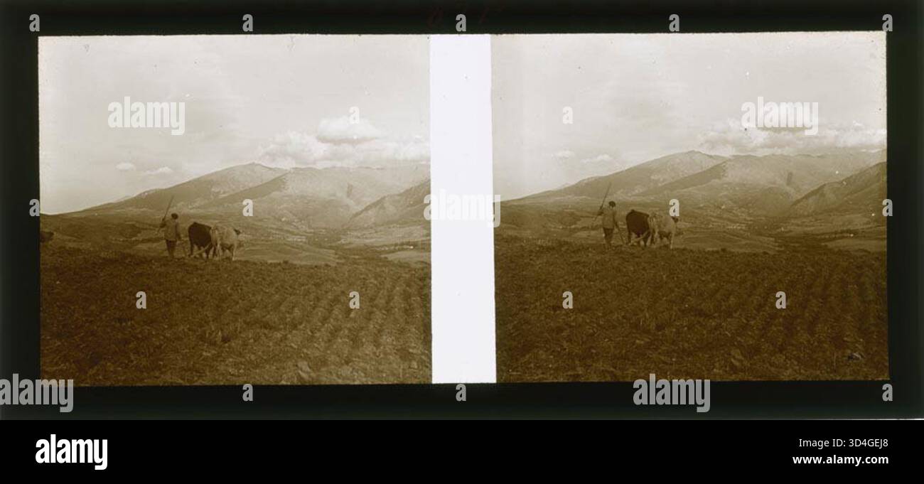 Un uomo che arava con un paio di buoi davanti ad un paesaggio montano, fotografato da Josep Domènech i Sàbat tra il 1922 e il 1934. Foto Stock