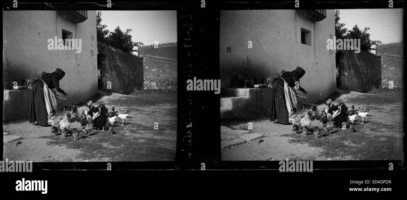 Immagine tra il 1899 e il 1910 che mostra una donna anziana che dà da mangiare ai polli nel cortile della canonica di Llerona, catturata da Josep Maria Armengol i Bas. Foto Stock