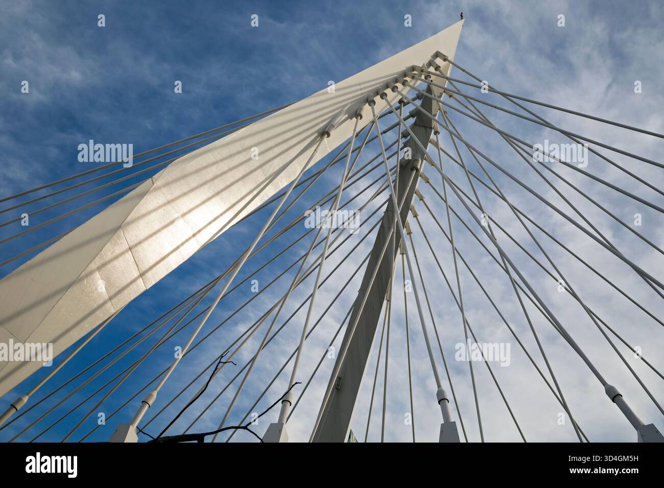 Ponte Matute Remus. Guadalajara, Jalisco, Messico Foto Stock