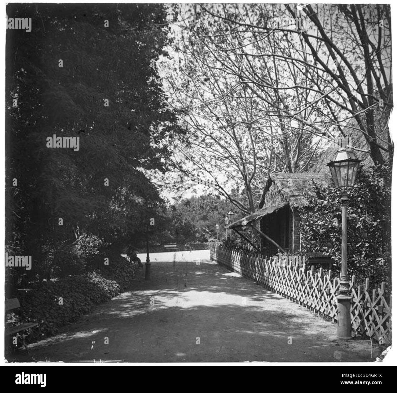 Un posto nel Parc de la Ciutadella di Barcellona, catturato da Màrius Aguirre i Serrat-Calvó tra il 1888 e il 1910. L'immagine evidenzia l'ambiente tranquillo e gli spazi verdi del parco. Foto Stock