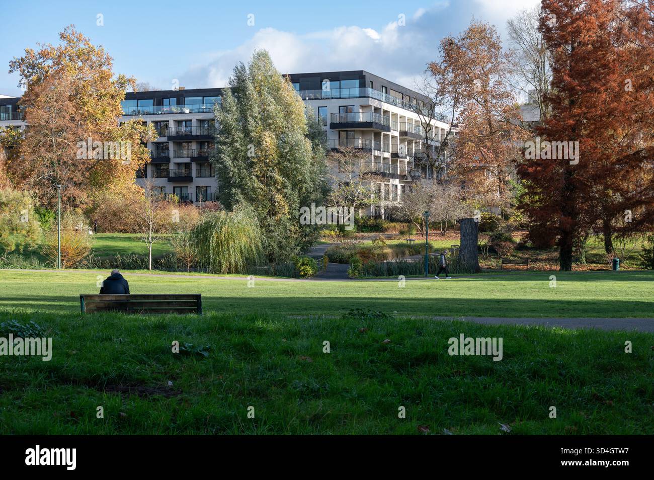 Vista panoramica di Seny Park / Parc Seny a Oudergem - Auderghem (Bruxelles, Belgio / Bruxelles, Belgio) in autunno. L'immagine mette in risalto la pat Foto Stock