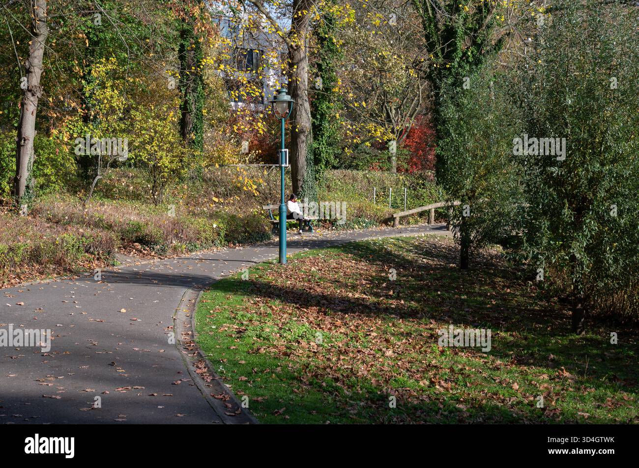 Vista panoramica del Parco Tenreuken / Parc Tenreuken a Oudergem - Auderghem (Bruxelles, Belgio / Bruxelles, Belgio) in autunno. La foto mostra Walkin Foto Stock