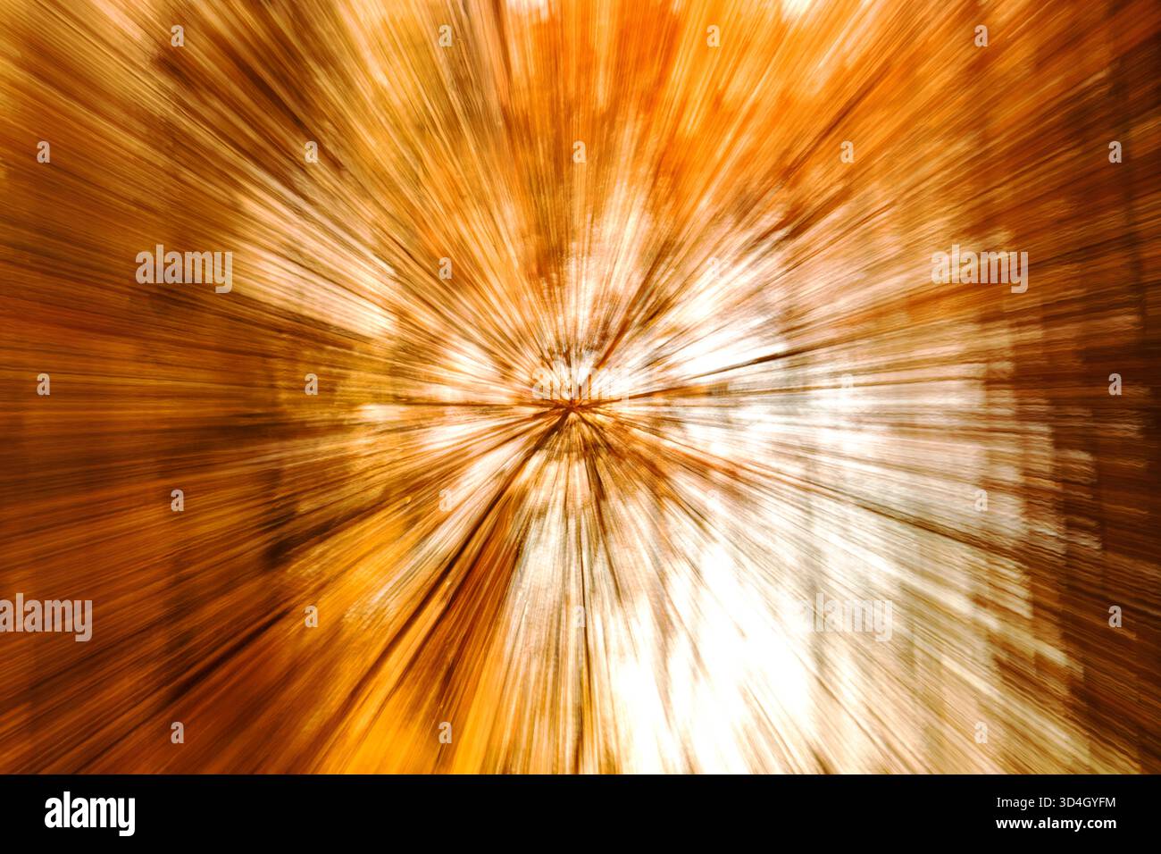 Il movimento intenzionale della telecamera ICM a Dundee crea una sfocatura astratta di alberi boschivi in piena luce autunnale, in Scozia Foto Stock
