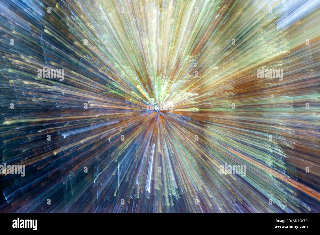 Il movimento intenzionale della telecamera ICM a Dundee crea una sfocatura astratta di alberi boschivi in piena luce autunnale, in Scozia Foto Stock