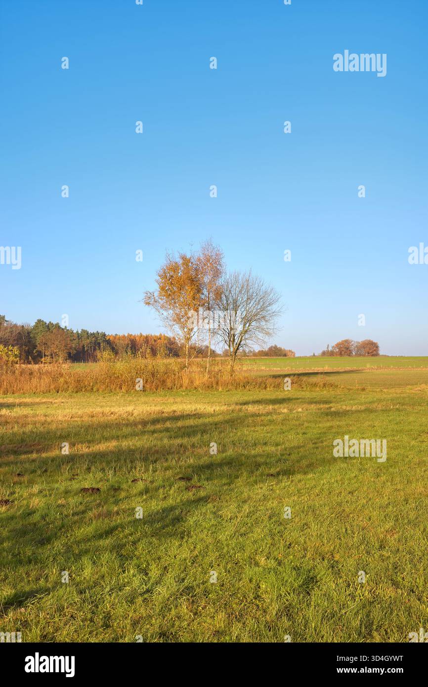 Paesaggio di campagna autunnale in una giornata senza nuvole, Polonia. Foto Stock
