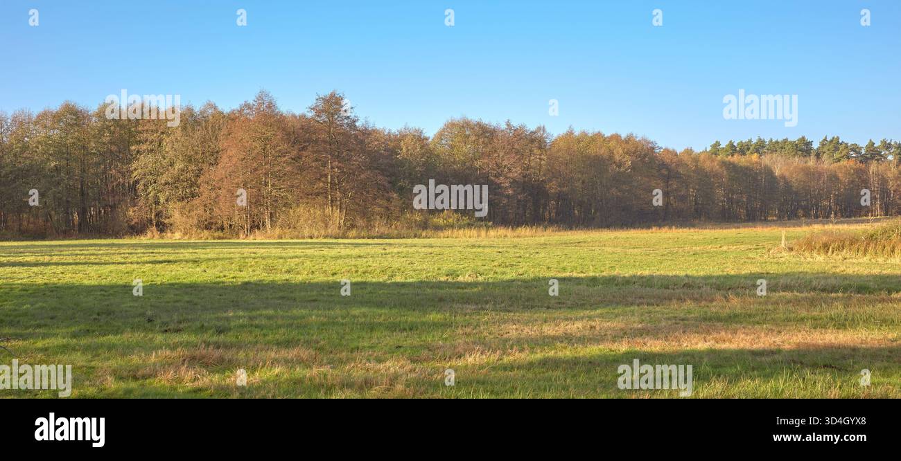 Paesaggio di campagna autunnale in una giornata senza nuvole, Polonia. Foto Stock