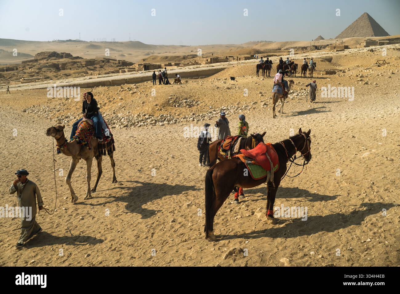 i visitatori noleggiano cavalli e cammelli per un giro intorno al complesso piramidale Foto Stock