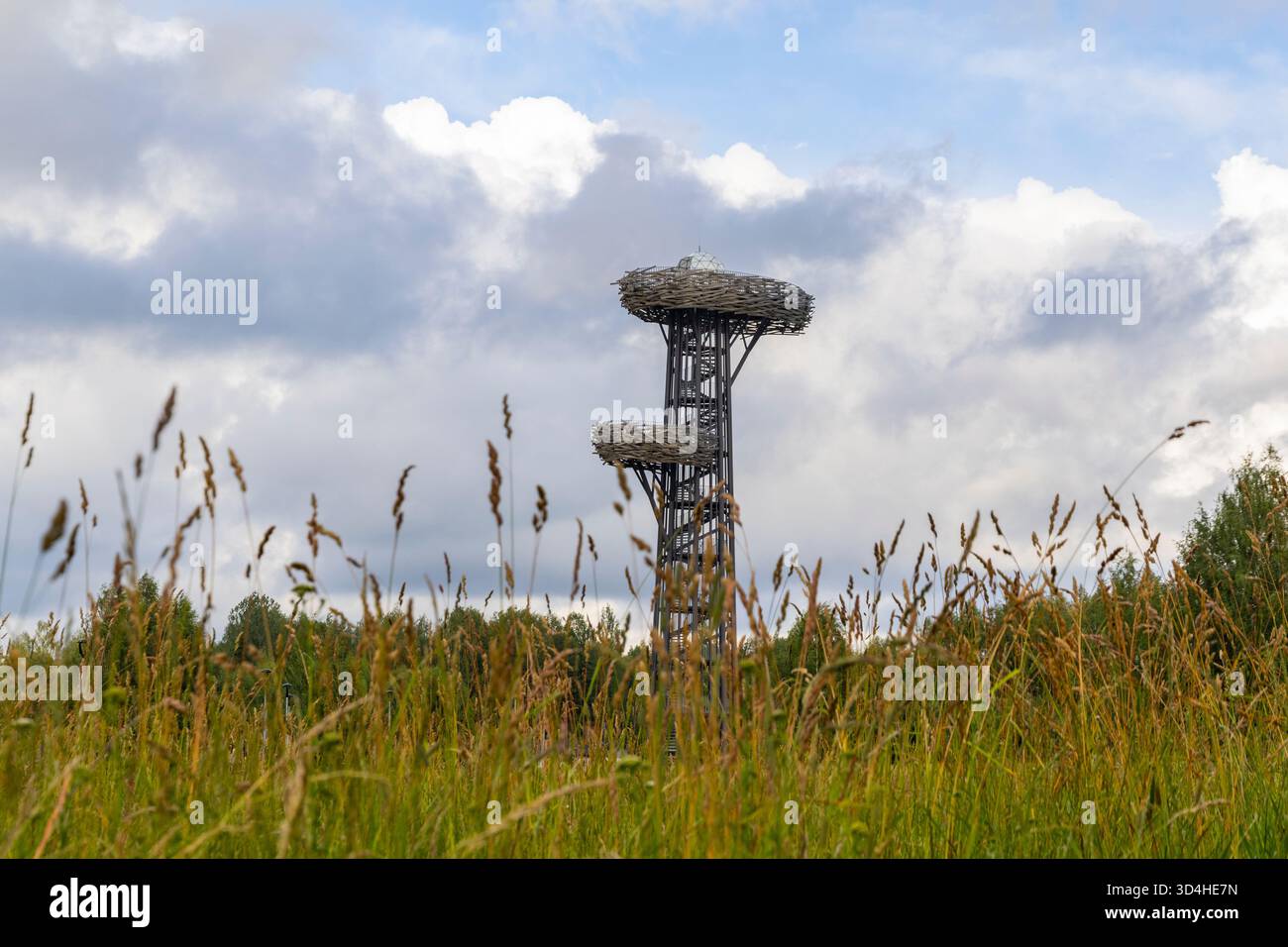 Pesapuu torre panoramica a Rõuge, Estonia Foto Stock