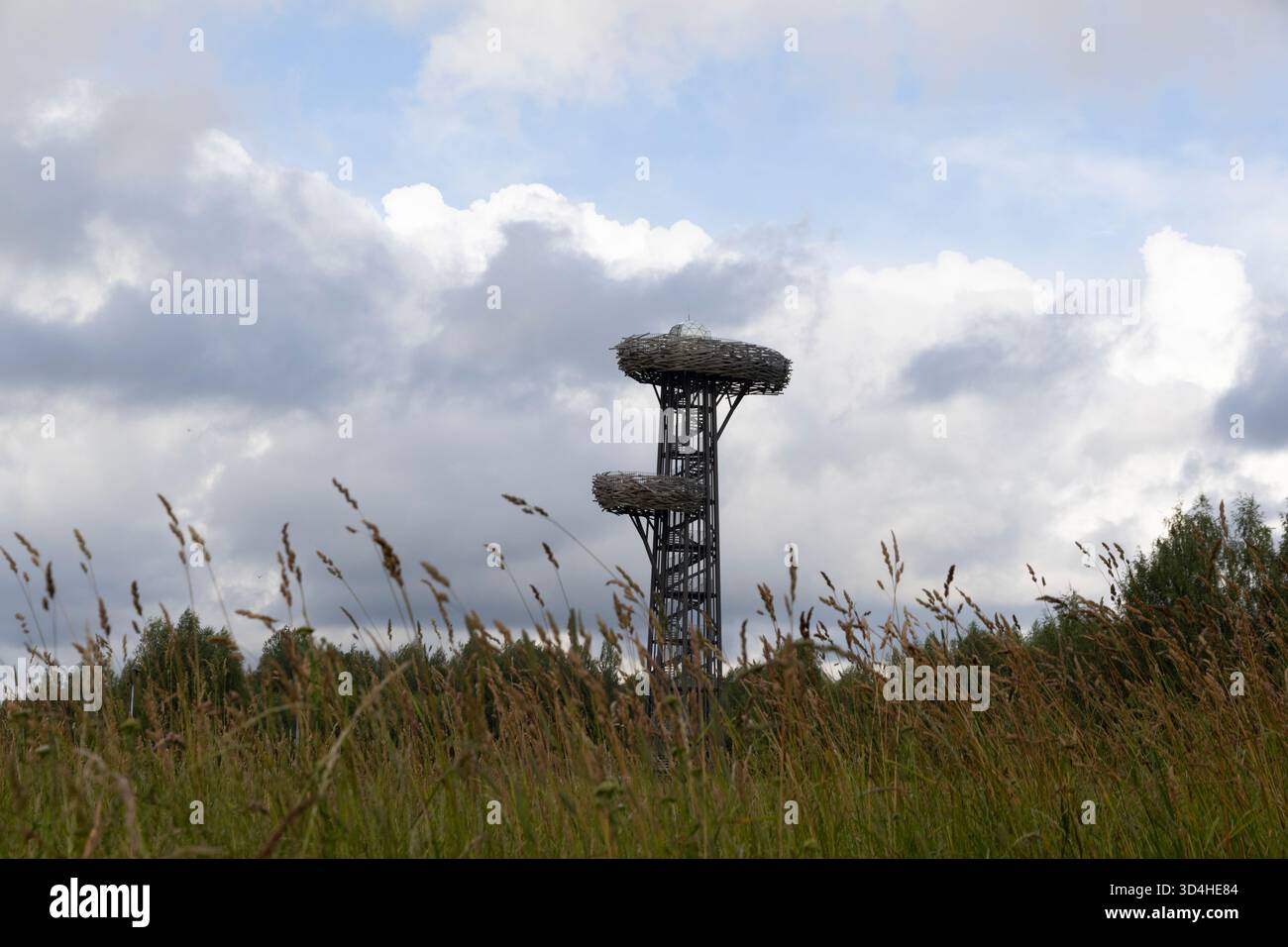 Pesapuu torre panoramica a Rõuge, Estonia Foto Stock