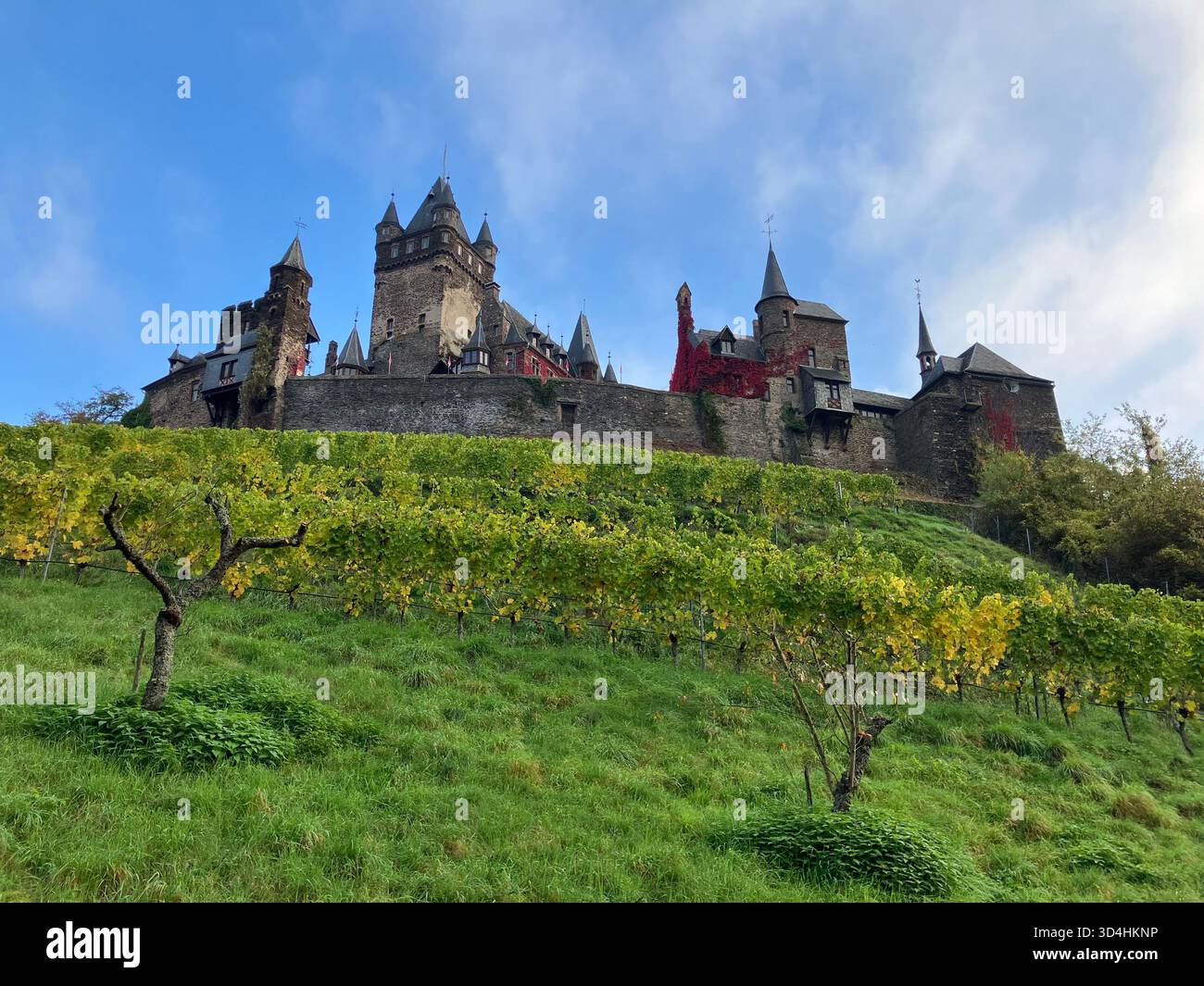 Il castello di Reichsburg Cochem si erge in modo drammatico sopra rigogliose vigne verdi su una collina soleggiata a Cochem, Renania-Palatinato, Germania. Foto Stock