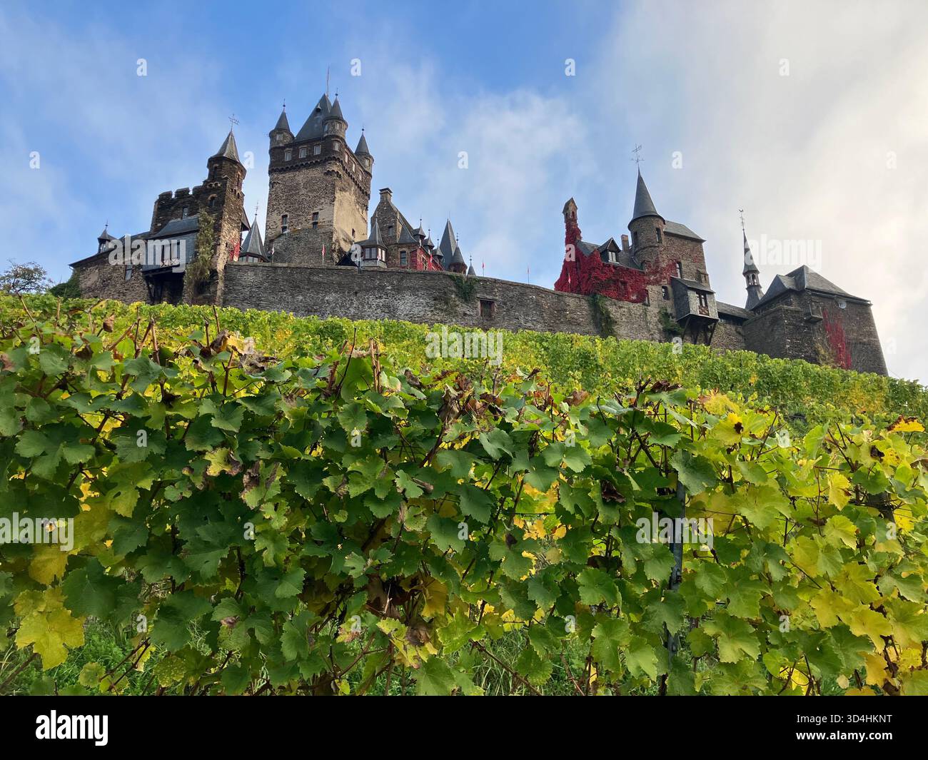 Il castello di Reichsburg Cochem si erge in modo drammatico sopra rigogliose vigne verdi su una collina soleggiata a Cochem, Renania-Palatinato, Germania. Foto Stock