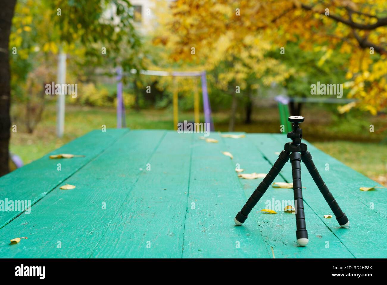 Un piccolo treppiede nero sorge su un tavolo di legno verde circondato da foglie cadute. I vibranti alberi autunnali creano un'atmosfera serena nel parco. Foto Stock