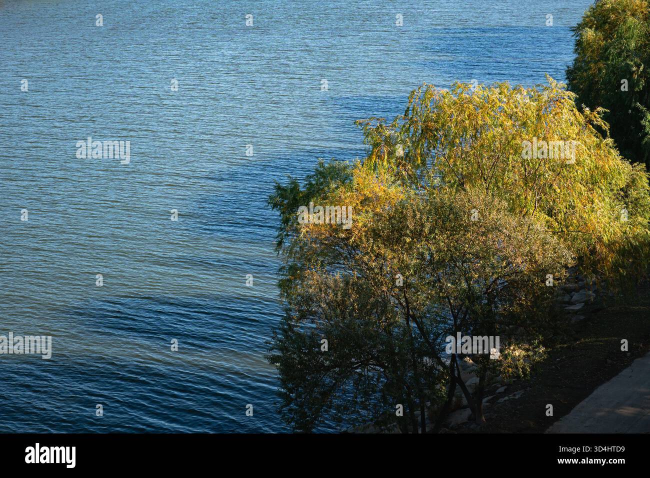 Vista ad alto angolo degli alberi autunnali su una sponda del fiume con Blue Water Copy Space Foto Stock
