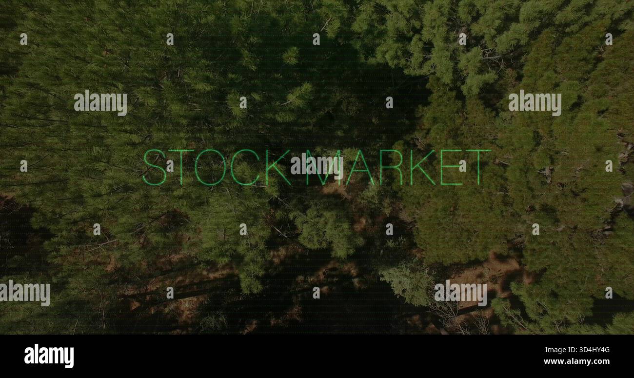 Visualizzazione del testo verde neon del MERCATO AZIONARIO su una tettoia aerea sempreverde che rivela vuoti e ombre Foto Stock