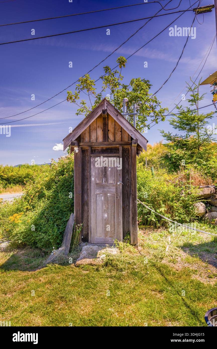 Un rustico attico in legno si erge su una collina erbosa, circondata da cespugli sovracresciuti e linee elettriche, sotto un cielo blu profondo in una giornata di sole. Foto Stock