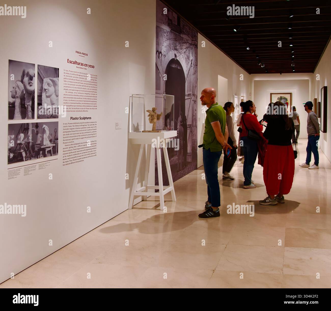 Sculture in gesso realizzate nel Château de Boisgeloup nei primi anni '1930 con fotografie nello studio di Pablo Picasso Museo Picasso Málaga Spagna Europa Foto Stock
