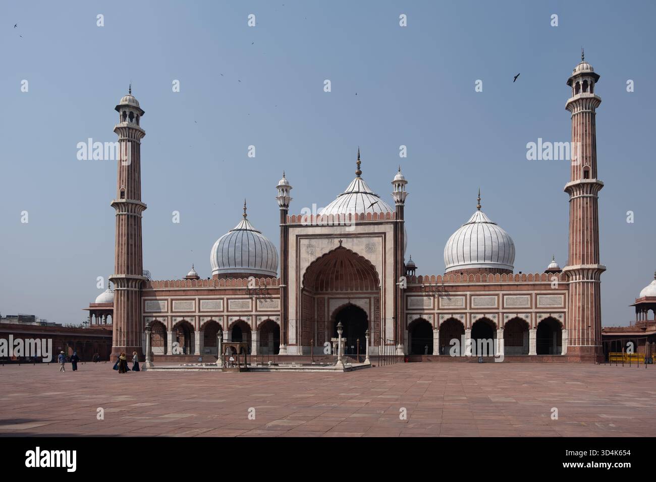 Vecchia Delhi, India, Scene di strada Foto Stock
