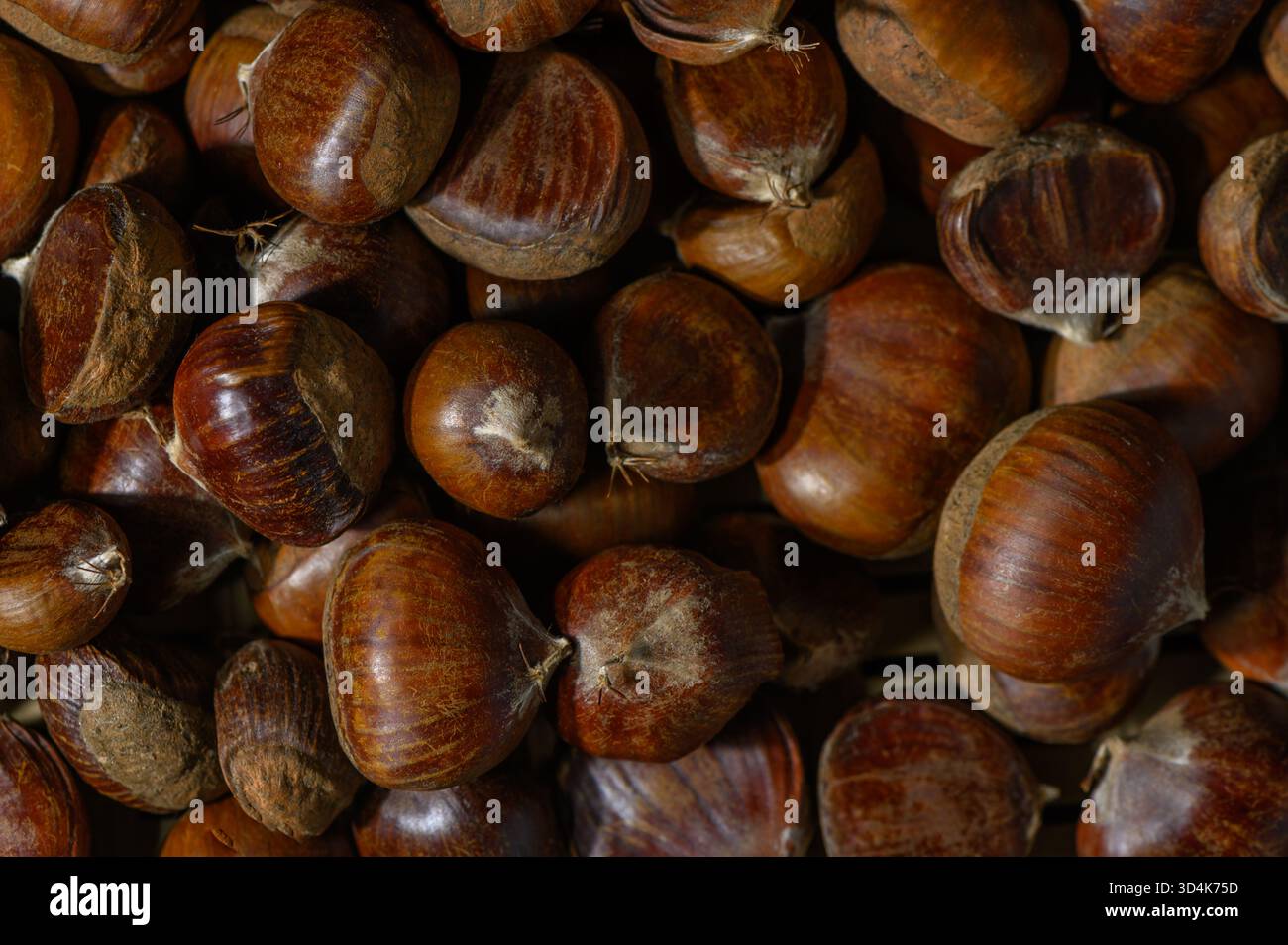 Foto in studio di castagne Shida Kartli con pelle sollevata su sfondo bianco. Toni caldi e texture formano uno sfondo vivace per storie di cibo e Kartl Foto Stock