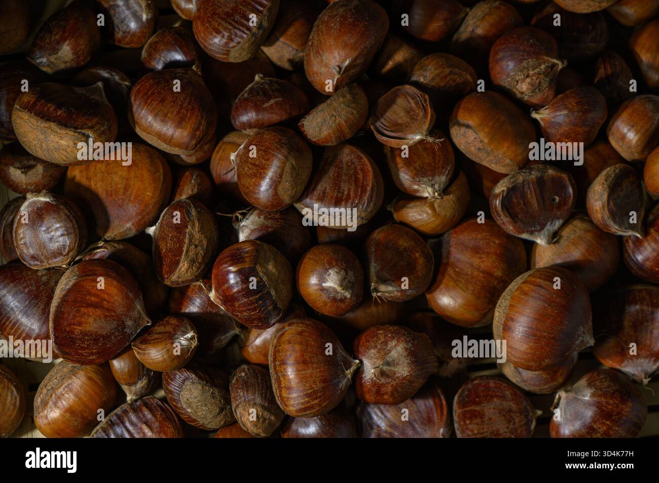 Foto in studio di castagne Kutaisi con pelle opaca su sfondo bianco. Tonalità calde e texture naturali formano uno sfondo vivace per storie di cibo e Imere Foto Stock