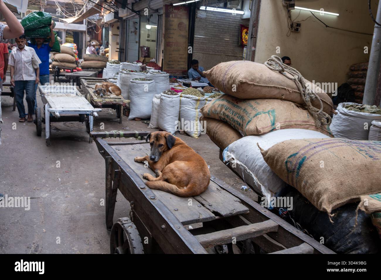 Vecchia Delhi, India, Scene di strada Foto Stock