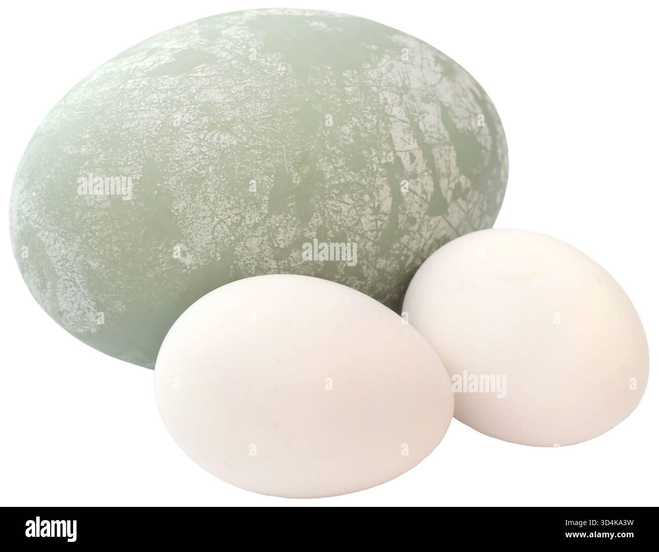Grandi uova di uccello e pollo su sfondo bianco Foto Stock