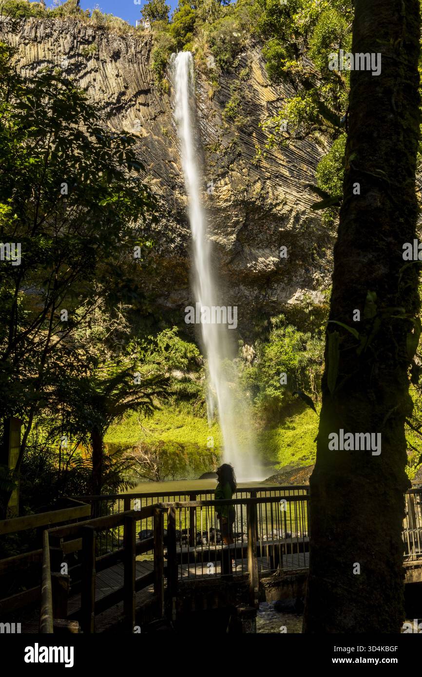 La vista delle maestose Bridal Veil Falls si tuffa lungo una scogliera a strapiombo, incorniciata da alberi verdeggianti, creando un'oasi serena, Raglan, regione di Waikato, nuova Foto Stock
