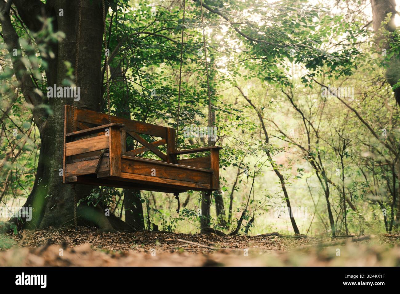 Panca in legno sospesa da un albero nella foresta Foto Stock