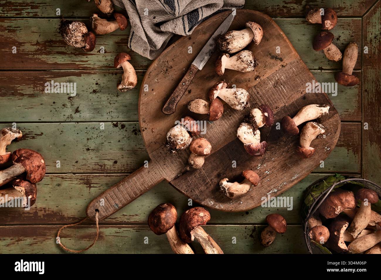 stesa piatta di funghi porcini su tavola di legno, appena raccolti, ancora nel loro terreno, alcuni in un crogiolo Foto Stock