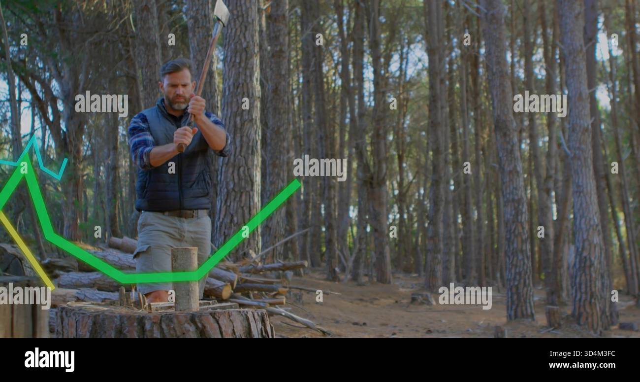 Sollevare l'uomo con abiti da lavoro, ascia oscillante nella pineta su ceppo, tronco, copertura verde Foto Stock