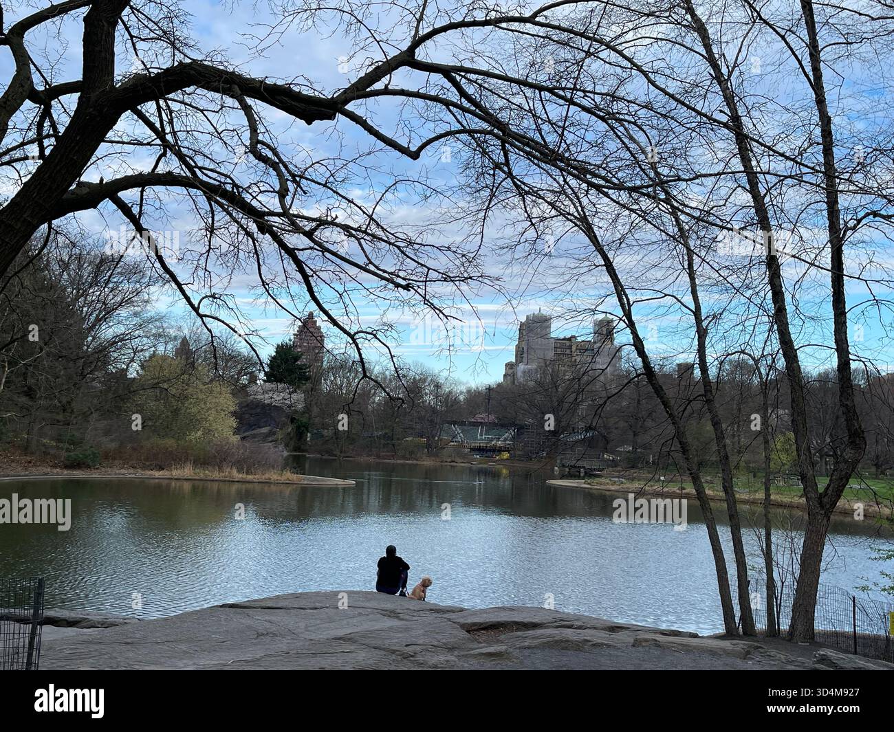 Cani da città, sogni da parco - solo a New York City - Immagine stock catturata con smartphone
