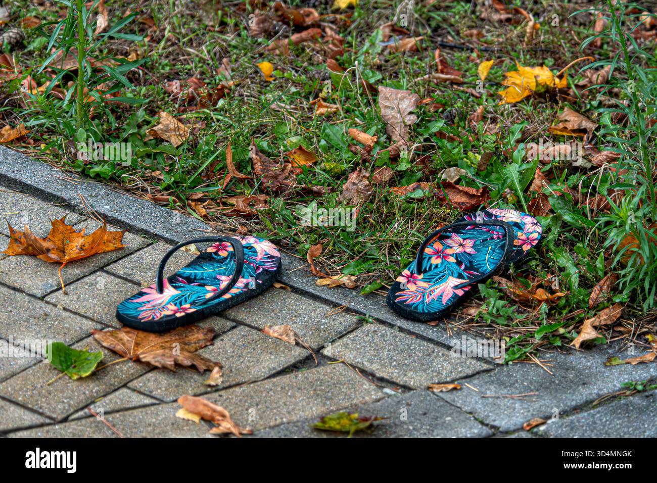 Le infradito luminose si appoggiano su un sentiero di pietra con foglie autunnali colorate intorno a loro. Foto Stock