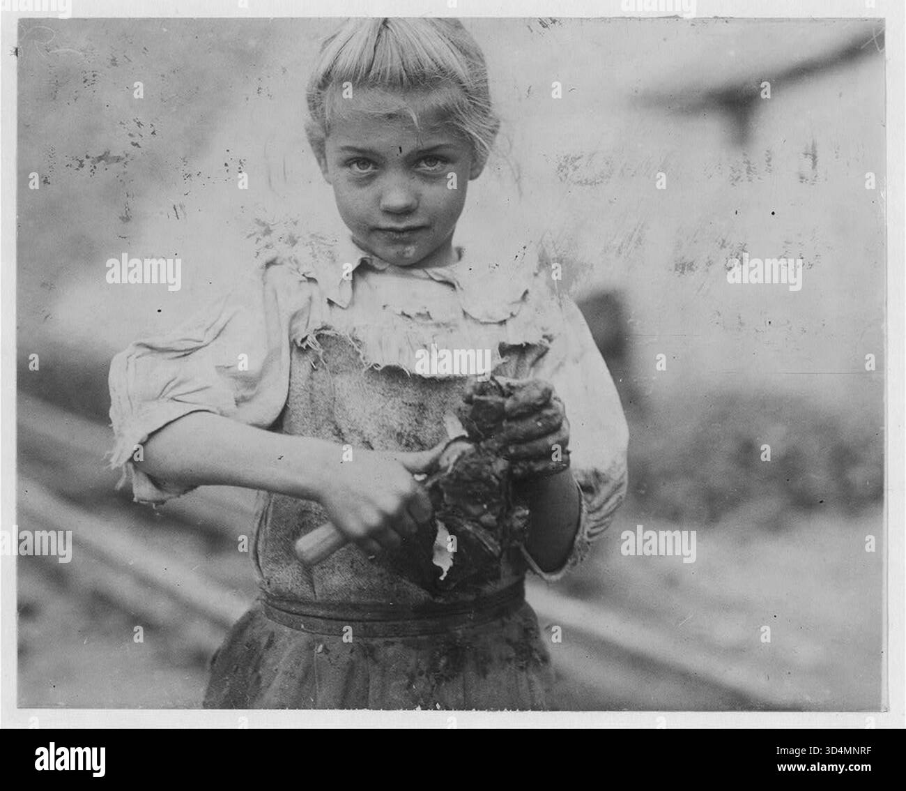 Rosie di 7 anni. Un normale tremolino di ostriche. Il suo secondo anno. Analfabeta. Funziona tutto il giorno. Shucks solo qualche vaso al giorno. (Mostra il processo) Varn & Platt Canning Co. Ubicazione: Bluffton, South Carolina. Foto Stock