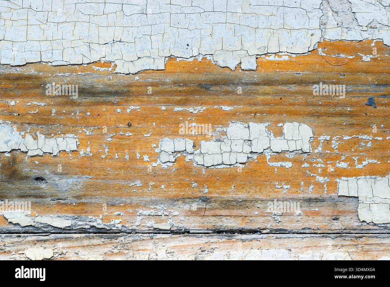 Primo piano di una vecchia vernice spaccata su una superficie in legno che crea uno sfondo vintage con texture grunge. Vista dall'alto. Foto Stock