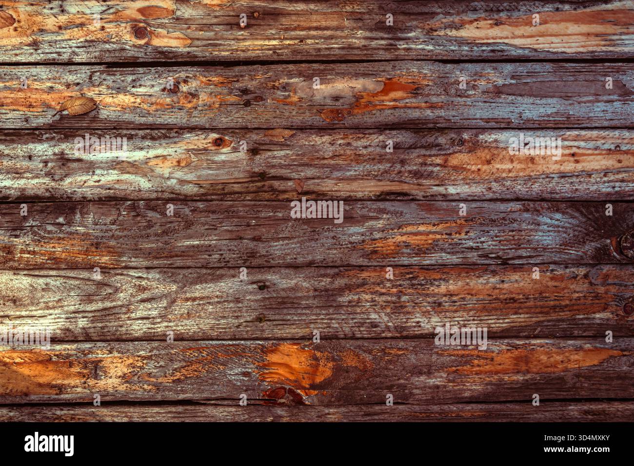 Vecchia superficie in legno con consistenza rustica e lacca sbucciante che rivela la venatura del legno naturale invecchiato. Vista dall'alto. Foto Stock