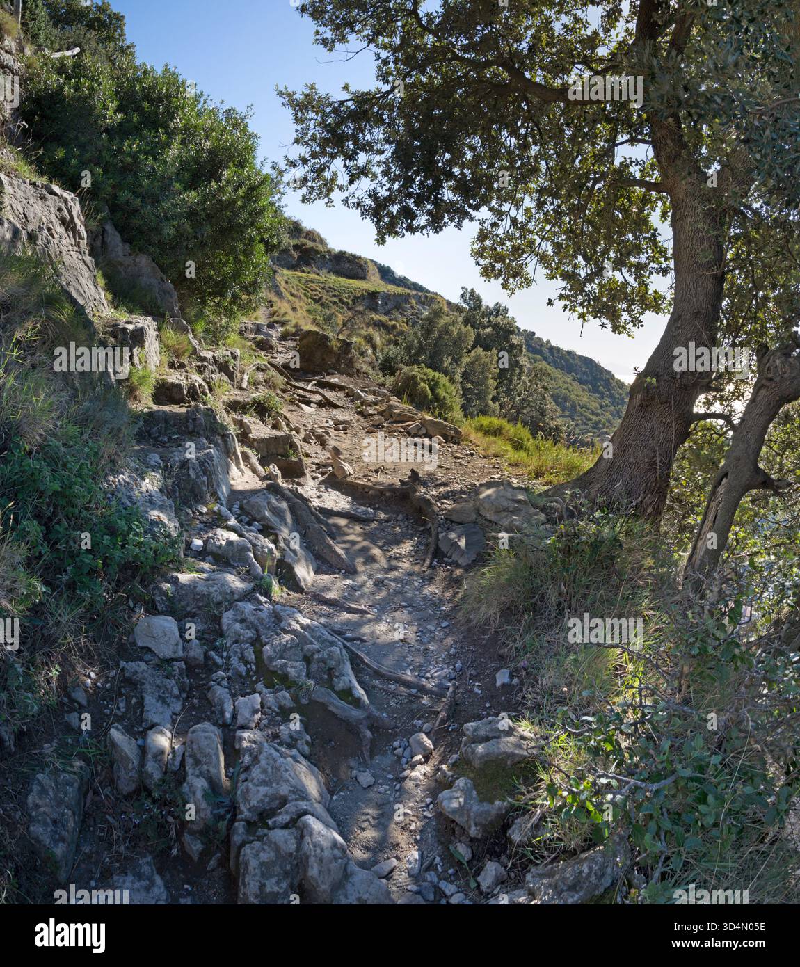 Sentiero degli dei - l'escursione costiera amalfitana - Sentiero degli dei - Costiera Amalfitana - dettaglio nella retroilluminazione Foto Stock