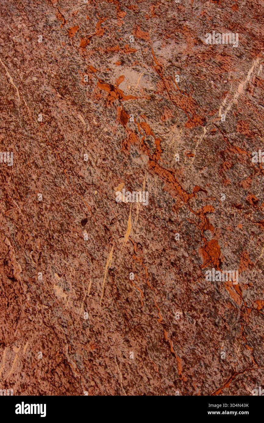 Le ricche texture e i colori del rosso del Triassico medio il calcare di Bulog rivelano l'antica storia geologica degli ambienti di acque profonde a Zlatibor, in Serbia. Foto Stock