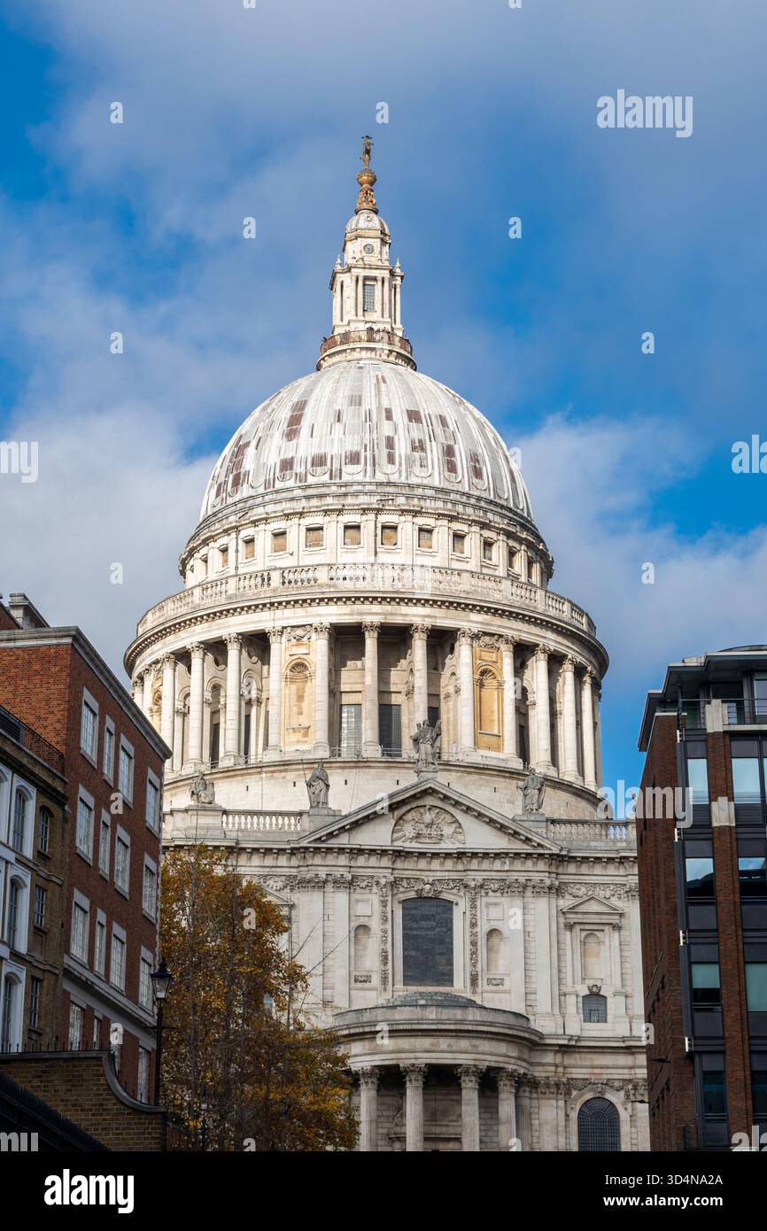 Vista della Cattedrale di St Pauls nella City of London in un giorno d'autunno di sole, Londra, Inghilterra, Regno Unito Foto Stock
