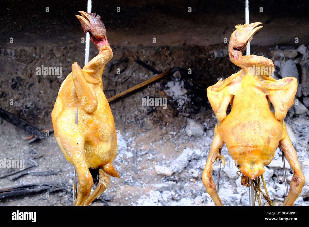 Cucina al barbecue. Due polli allevati in fattoria allo spiedo. Kontum. Vietnam. Foto Stock